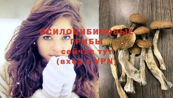 таблы Аркадак