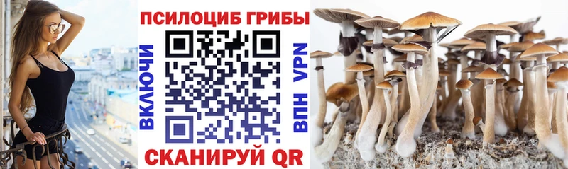 ОМГ ОМГ ONION  Лобня  Псилоцибиновые грибы ЛСД  наркошоп 